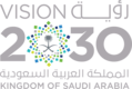 Vision 2030 Partner